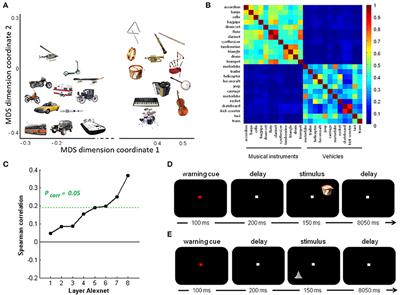 Representation of Semantic Similarity in the Left Intraparietal Sulcus: Functional Magnetic Resonance Imaging Evidence